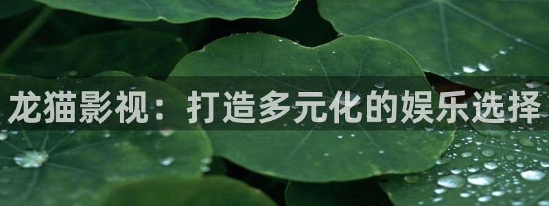 的理论片理伦片