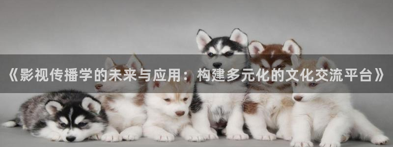韩国成人理论电影：《影视传播学的未来与应用：构建多元化的文化交流平台》