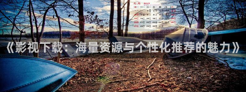 女特警三级理论电影：《影视下载：海量资源与个性化推荐的魅力》