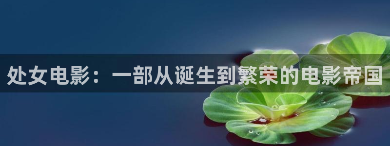 神马影院理论在线