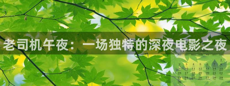 欧洲免费理论电影