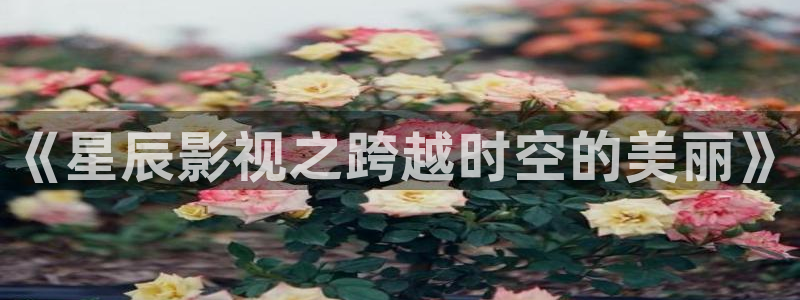 星辰影院理论看片