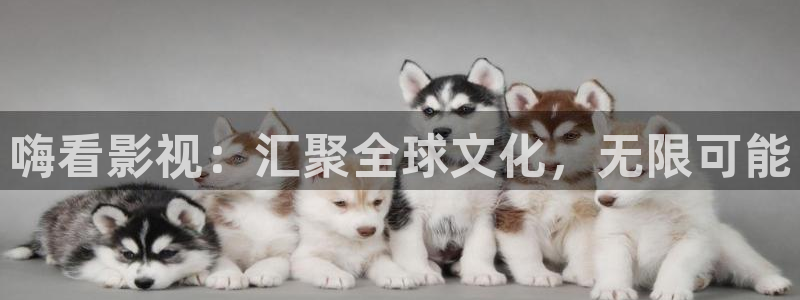 国产一级理论电影