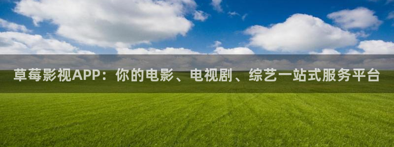 万物理论电影完整版在线观看
