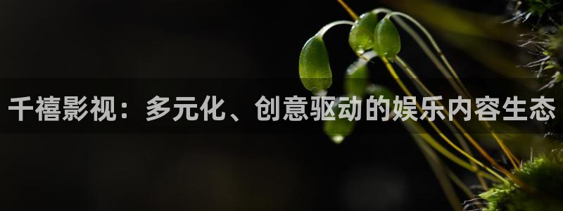宅宅网理论电影