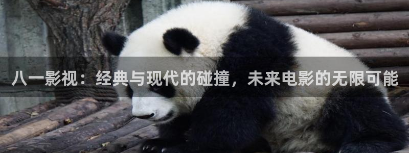 电影天堂理论
