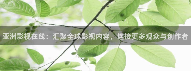 万物理论电影完整版在线观看
