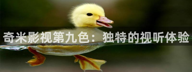 理论电影宅急看